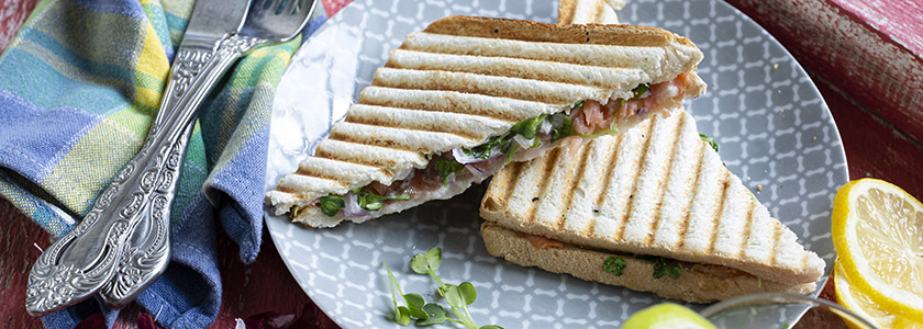 Toast-Sandwich mit Lachs
