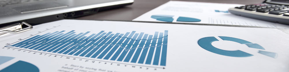 Business Analyst / Controller m/w/d