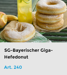 Artikel-240
