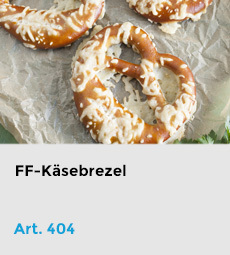 Artikel-404