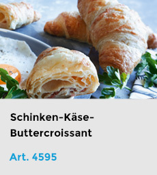 Artikel-4595