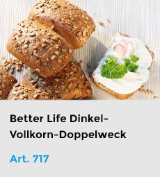 Artikel-717