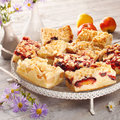 Bio Blechkuchen-Mischkarton, 3-fach sortiert - 2