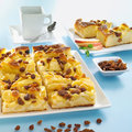 Apfelkuchen mit Sultaninen