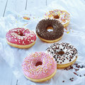 Doony's Donut Box ungefüllt, 5-fach - 2