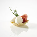 Mischkarton Pidy Tartelettes "Canapé"