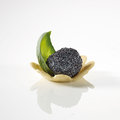Mischkarton Pidy Tartelettes "Apero"