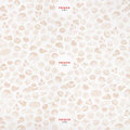 Rollenpapier "FRISCH & fein"