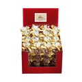 Weihnachtsstern "Marc de Champagne", im Display