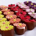 Zuckerblumen groß, 4-fach sortiert