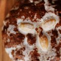 Elisen-Lebkuchen "Zuckerglasur", oval
