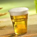 PLA-Becher "Pure", 500 ml