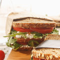 Hamburgerpapier "Gourmet", braun
