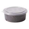 Mehrweg Bowl Schale, 1000 ml, dunkelgrün
