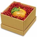 SizzlePak rot, 5 kg
