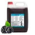 ICE BÄR Slush Eis Sirup "Brombeere", 5 l