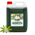 Rainbow Slush Eis Sirup "Waldmeister", 5 l