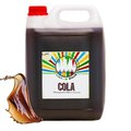 Rainbow Slush Eis Sirup "Cola", 5 l
