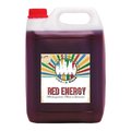Rainbow Slush Eis Sirup "Red Energy", 5 l