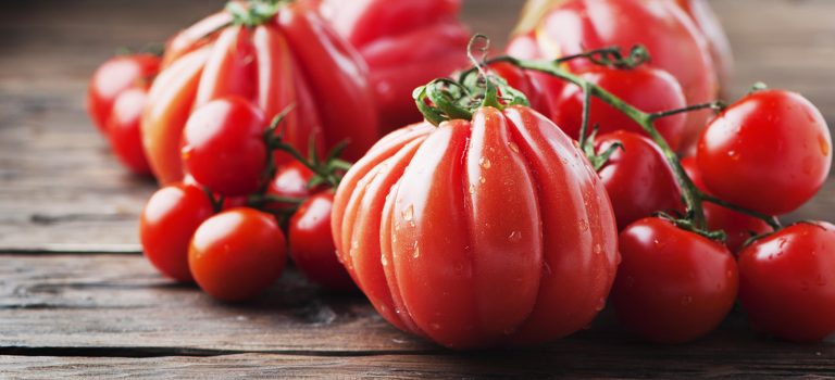 Panzanella – nicht ohne meine Tomate! Brotsalat mit Tomate